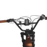 Safari - Image 10