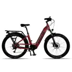 Smartmotion XCity Neo MED 16" FRAME - Image 8
