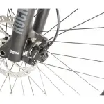 Sport - Image 4